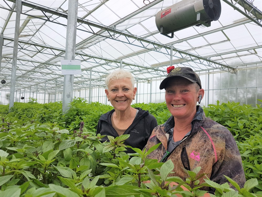 Scarborough Fare Applies KAIZEN™ in Horticulture